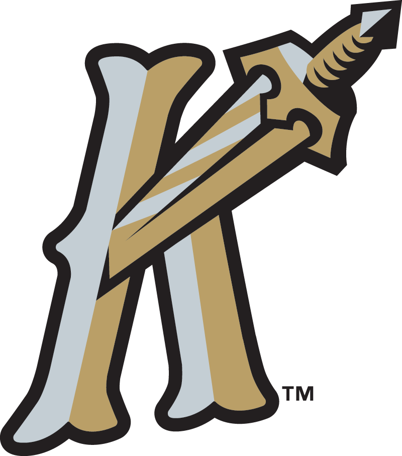 Charlotte Knights 2014-Pres Alternate Logo iron on transfers for clothing